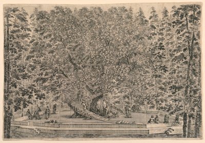 Arbre avec deux escaliers en spirale - Stefano della Bella