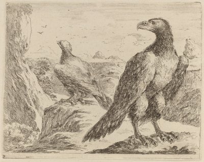Deux aigles, tous deux tournés vers la gauche - Stefano della Bella