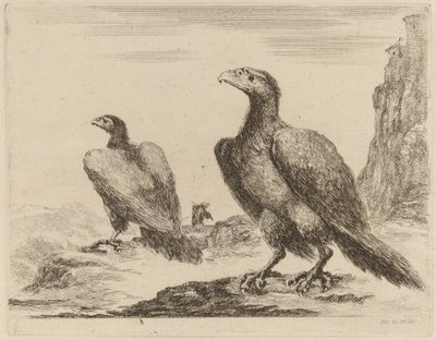 Deux aigles, tous deux tournés vers la gauche, sur une haute falaise - Stefano della Bella