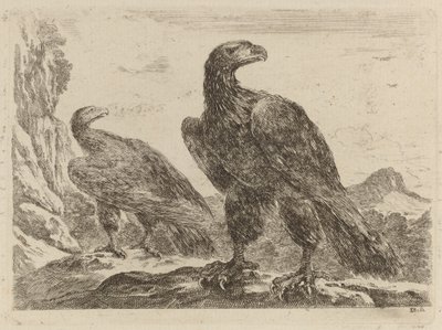 Deux aigles, tous deux tournés vers la droite - Stefano della Bella