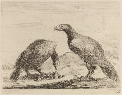 Deux aigles, l