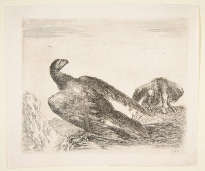 Deux aigles, l