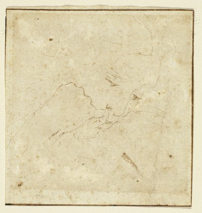 Tête de femme - Stefano della Bella