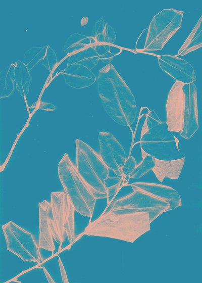 Freyr VI Dawn, 2018 (numérique) - Stephen Dow