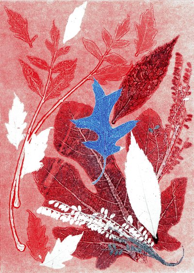 Jol III, 2017 (monoprint sur papier) - Stephen Dow