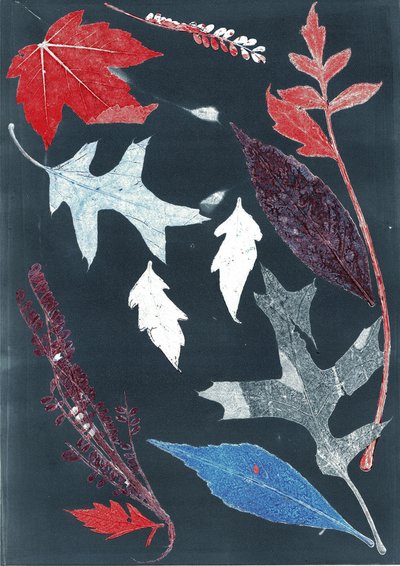 Jol X, 2017 (monoprint sur papier) - Stephen Dow