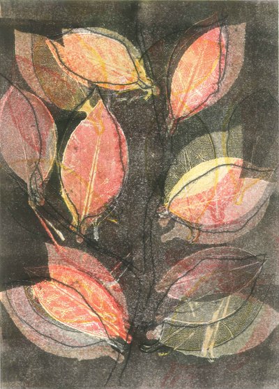 Midnight Garden V, 2015 (monoprint sur papier) - Stephen Dow