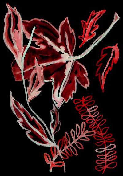 Flore nocturne I, 2018 (numérique) - Stephen Dow