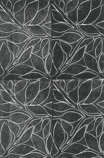 Vignes, 2015 - Stephen Dow