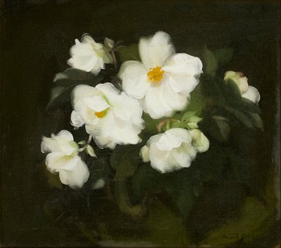 Roses blanches - Stuart Park
