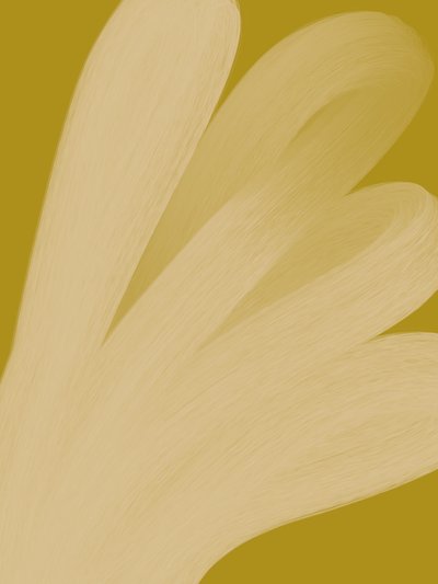  - Studio Palette
