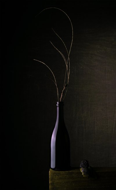 Nature morte à la bouteille sombre - Sumit Dhuper