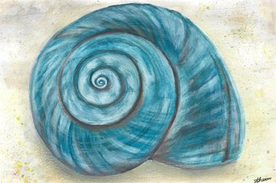 Coquillage bleu en spirale - Sunet Theron
