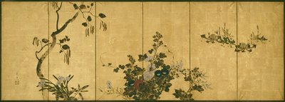 Fleurs d
