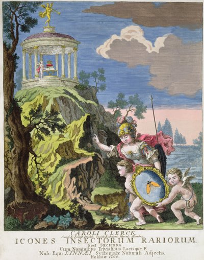 Frontispice de Icones Insectorum Rariorum par C. Clerck, Suède, 1764 - Swedish School