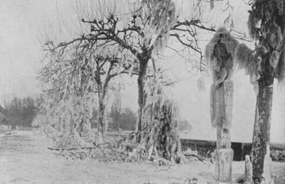 Aux Pâquis à Genève, Hiver 1896 - Swiss Photographer