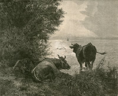 Tôt le matin sur le lac de Zurich - Swiss School