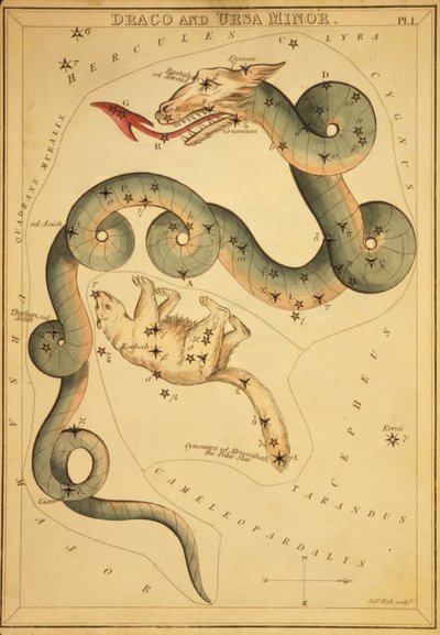Draco et Ursa Minor, illustration de 