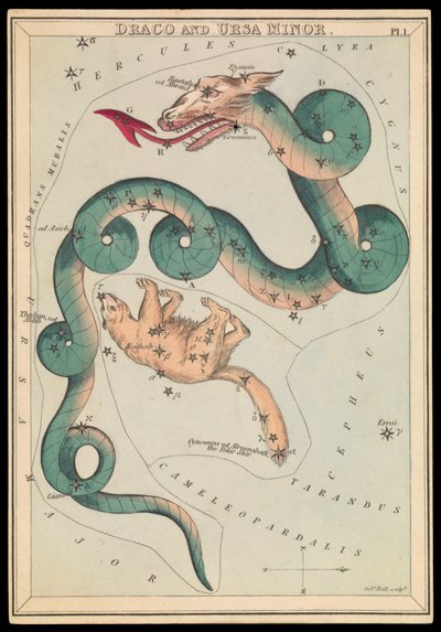 Draco et Ursa Minor, vers 1825 - Sydney Hall