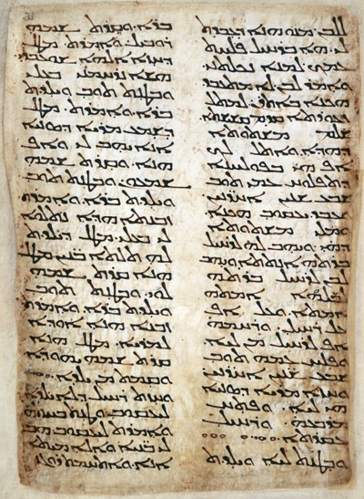 Add. 14425, f.31, Page de texte du Pentateuque. (Genèse, Exode, Nombres, Deutéronome), 464 - Syrian Syrian