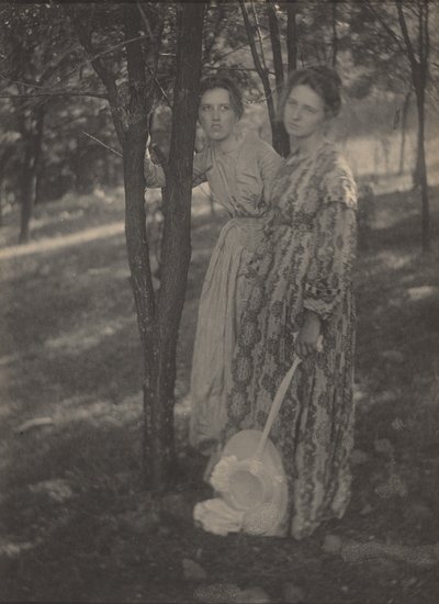 Dans les bois, v. 1899 (photo) - T. M. Edmiston
