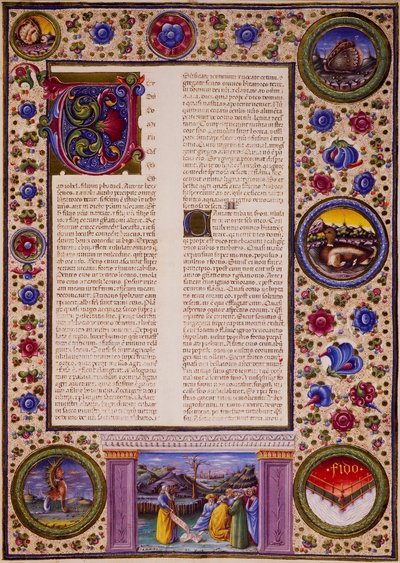 Incipit du Livre de Joël - Taddeo Crivelli