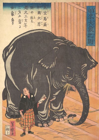 Vue du grand éléphant importé - Taguchi Yoshimori