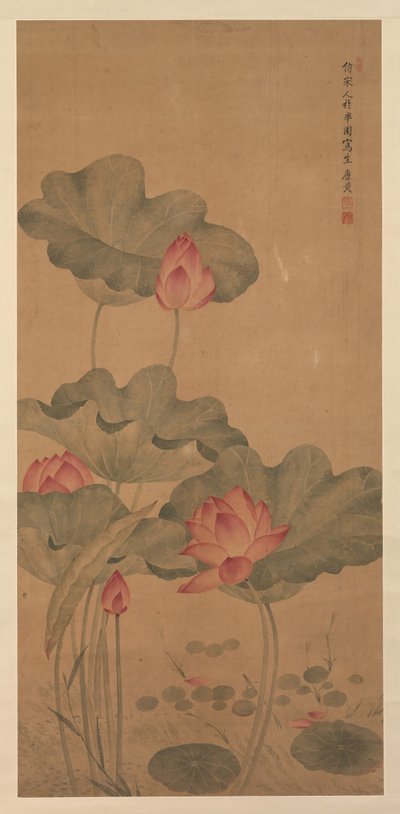 Lotus rouge et poisson - Tang Guang