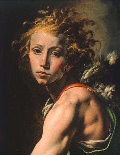Figure de David (détail) - Tanzio da Varallo