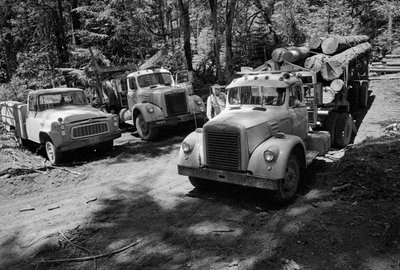 Camions de bois dans une forêt en cours de récolte en Oregon - Ted Spiegel