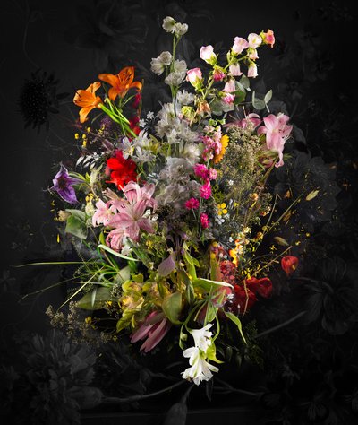Bouquet XXXIX - Teis Albers