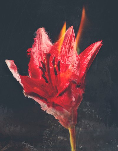 Combustion - Teis Albers