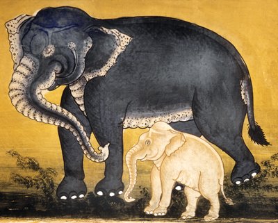 Éléphant et veau, page d