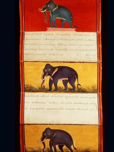 Folio d