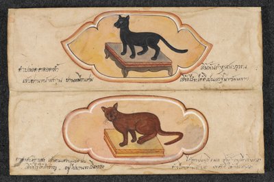 Chats siamois, Fol. 1 : deux chats porte-bonheur pour soutenir les affaires et l