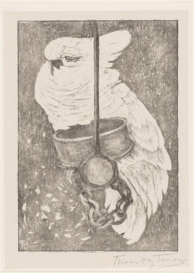 Cacatoès blanc - Theo van Hoytema (signed by artist)