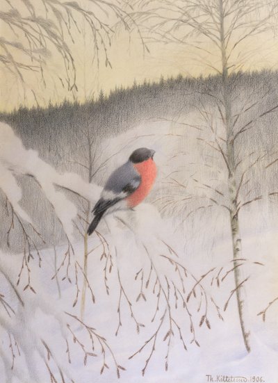 Bouvreuil sur une branche givrée - Theodor Kittelsen