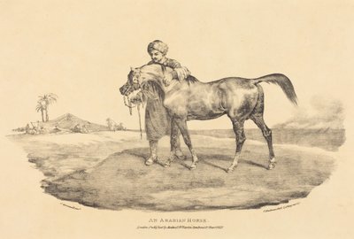 Un cheval arabe - Theodore Gericault