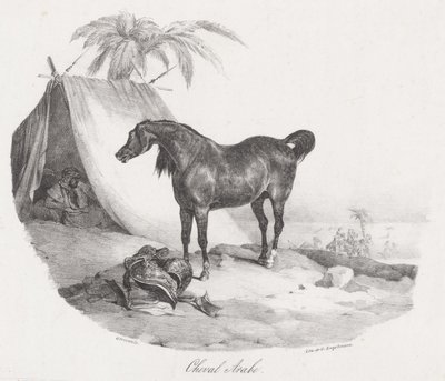 Cheval Arabe (An Arabian Horse) - Theodore Gericault