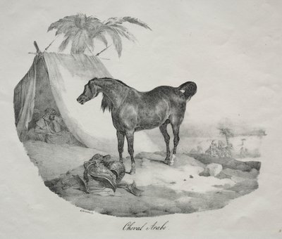 Cheval arabe - Theodore Gericault