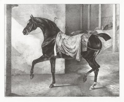 Cheval noir attaché dans une écurie (A Black Horse Tethered in a Stable) - Theodore Gericault