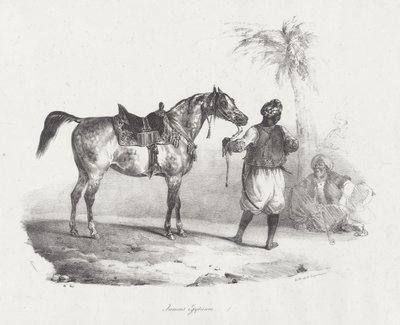 Jument Égyptienne (An Egyptian Mare) - Theodore Gericault