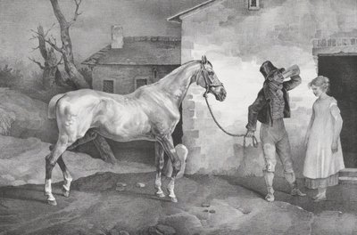 Vieux cheval à la porte d