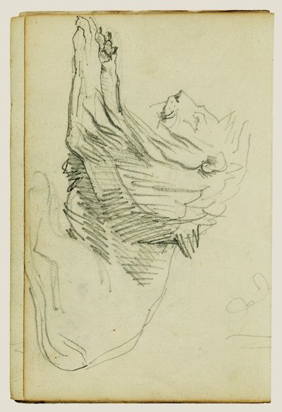 Lion assis - Theodore Gericault