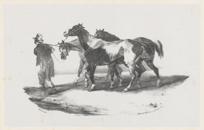 Trois chevaux conduits à l