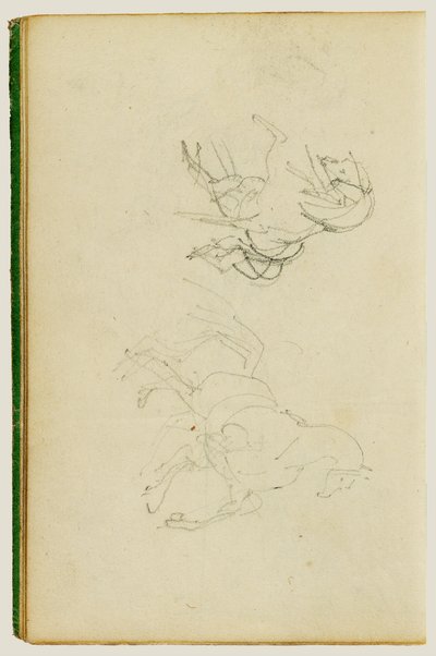 Deux études sur un cheval en élevage - Theodore Gericault