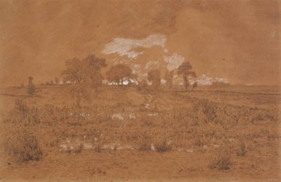 Paysage du soir avec un marais - Theodore Rousseau
