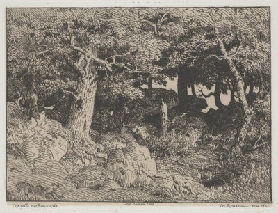 Chênes et rochers - Pierre Etienne Theodore Rousseau