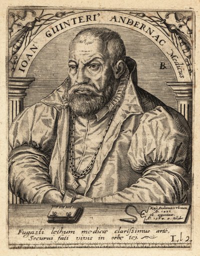 Johann Winter von Andernach, médecin allemand - Theodore de Bry