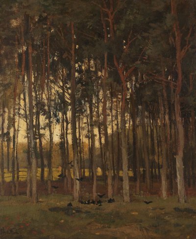 Vue dans les bois - Theophile de Bock